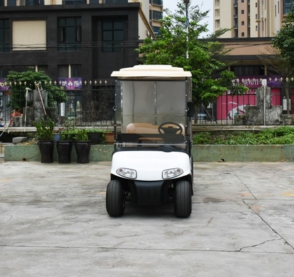 2 Seats Small Cargo Vehicle Electric Golf Cart With Stainless Steel Container For Hotel