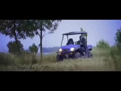 5kw/8KW Twee zitplaatsen Elektrische boerderij UTV 4X4 Transportwagen met EEG